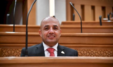 برلماني: الدبلوماسية المصرية حصن للدولة وصوت قوي لمصالحها في العالم