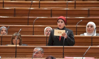 برلمانية: الدبلوماسية المصرية ركيزة أساسية لحماية مصالح الدولة وتعزيز مكانتها العالمية