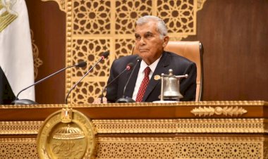 رئيس الشيوخ: نقف صفا واحدا خلف الرئيس السيسي فى ظل الظروف الإقليمية المحيطة