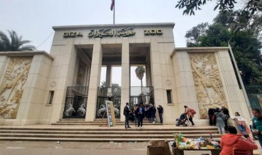 إبراهيم متولي: مدينا بعض الحدائق بالحيوانات ورفعنا كفاءة بيت الزواحف