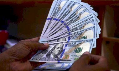 أسعار الدولار في مصر اليوم الإثنين