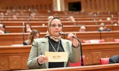 برلمانية: الجولة الخليجية للرئيس السيسي تؤكد التزام مصر الكامل بأمن واستقرار المنطقة