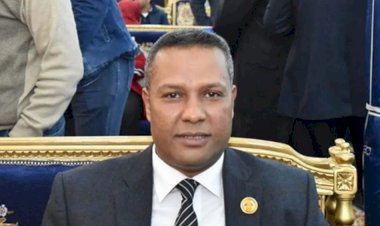 نائب: مصر لن تسمح بتهديد استقرار الخليج.. وتحركات الرئيس السيسي تعكس قيادة واعية