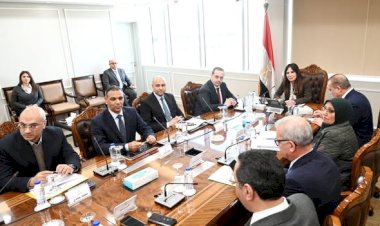 وزيرة الإسكان تتابع موقف تنفيذ مشروعات تطوير "مثلث ماسبيرو" و"سور مجرى العيون"