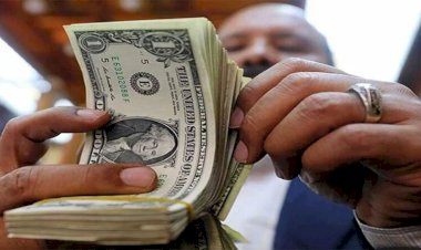 أسعار الدولار في مصر اليوم الأربعاء