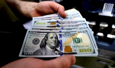 أسعار الدولار في مصر اليوم الخميس