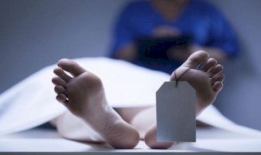 تفاصيل جريمة قتل شاب فى كرداسة.. شقيقه أنهى حياته والسبب صادم