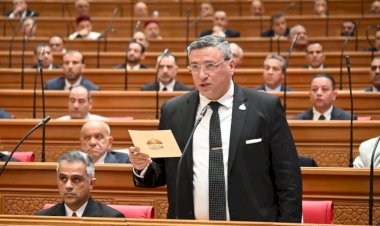 نائب: مصر تستهدف منع انزلاق المنطقة للصراعات.. والرئيس السيسى صوت الحكمة