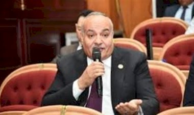 برلماني: خطة لتوصيل الغاز الطبيعي لقرى الشرقية لتخفيف الأعباء عن المواطنين