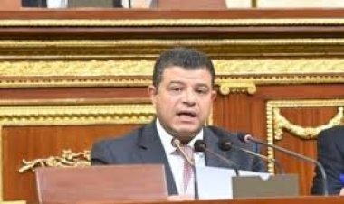 رئيس خطة النواب: بيان النواب والشيوخ يمثل أعلى درجات الالتفاف خلف القيادة