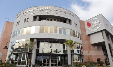 البترول:أموك تصدر 42ألف طن زيوت وشموع محققة نموًا 40%