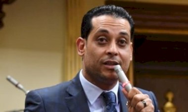 برلماني: بيان النواب والشيوخ يعكس ثوابت مصر الراسخة في رفض المساس بالخليج