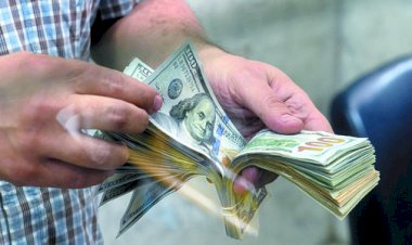 أسعار الدولار في مصر اليوم الأحد