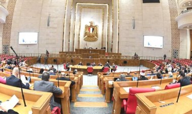 رياضة النواب: مهلة 90 يوما لإدراج مركز شباب بالدقهلية ضمن خطة التطوير بالوزارة