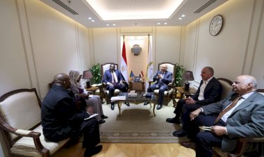 مصر وتنزانيا تتفقان على تعزيز التعاون البحري واللوجستي وإطلاق مشروعات مشتركة