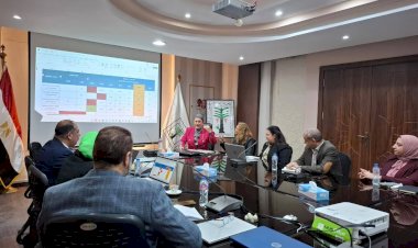 القومي للطفولة ومركز معلومات الوزراء يبحثان تطوير استراتيجية تنمية الطفولة المبكرة وخطة تنفيذها