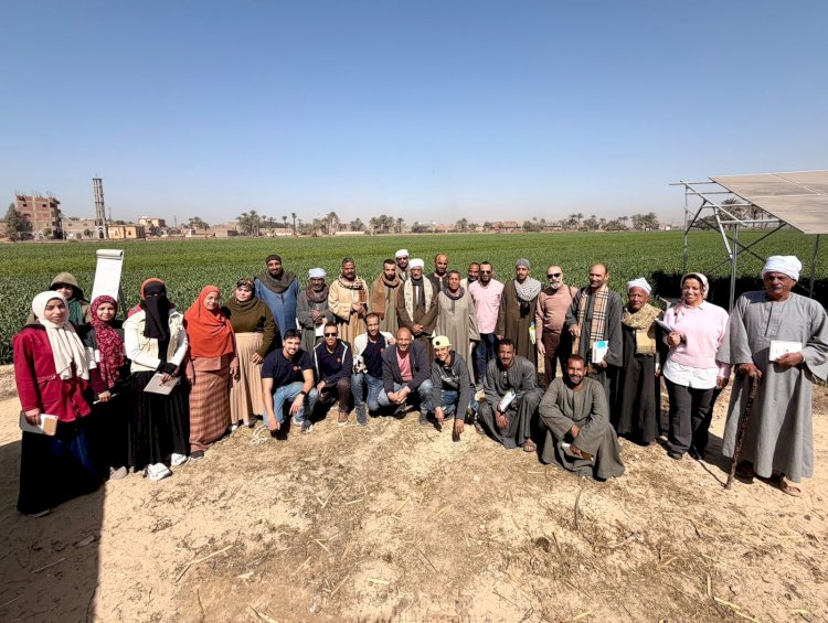 ضمن استراتيجية هيئة الرقابة المالية.. معهد الخدمات المالية في جولة ميدانية بأسيوط لاستعراض الخدمات المالية غير المصرفية