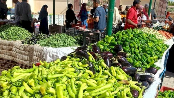 أسعار الخضار والفاكهة في الأسواق اليوم الاربعاء