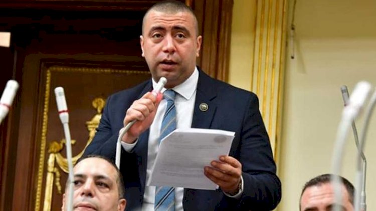 رئيس برلمانية حماة الوطن : لا نساوم الحكومة وما يهمنا تحقيق الصالح العام