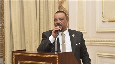 برلماني: مصر داعمة لأشقائها بالخليج وأمنهم جزء لا يتجزأ من الأمن القومي العربي