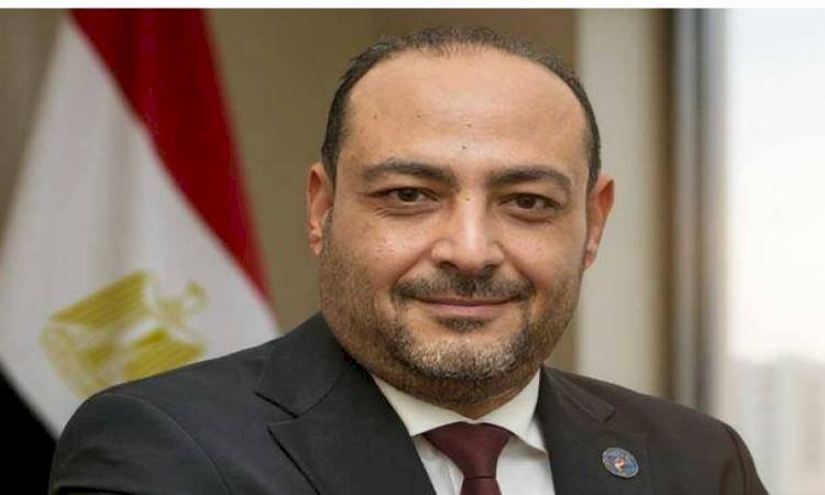 كشر: جولة الرئيس السيسي الخليجية تعزز التضامن العربي