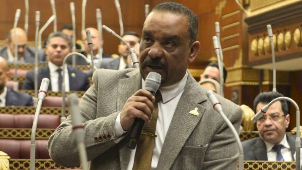 برلماني: زيارة الرئيس السيسي للبحرين والسعودية تعكس دقة التحرك المصري وترسخ معادلة الأمن العربي المشترك