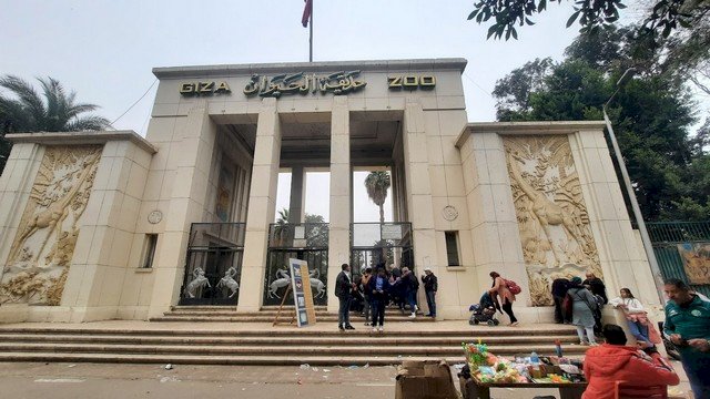 إبراهيم متولي: مدينا بعض الحدائق بالحيوانات ورفعنا كفاءة بيت الزواحف