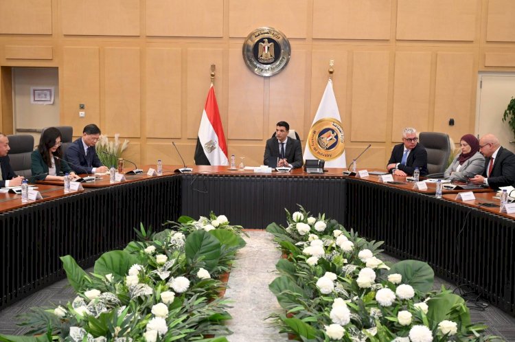 وزير الصناعة يبحث مع مجموعة "باوو" الصينية للحديد والصلب فرص تعزيز التعاون الصناعي والاستثماري
