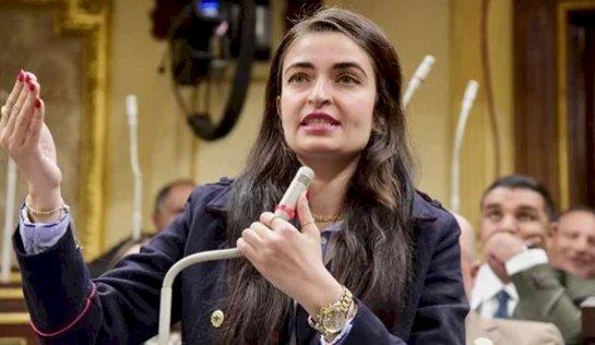 إيرين سعيد تطالب رئيس النواب بحضور الوزراء خلال مناقشه التشريعات