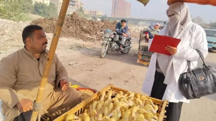 الزراعة: فحص أكثر من 555 ألف طائر و180 ألف رأس ماشية خلال فبراير