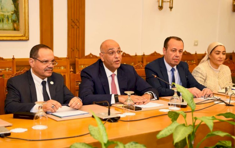 نائب وزير الخارجية تبحث مع الرئيس التنفيذي لجهاز تنمية المشروعات تعزيز دعم المشروعات الصغيرة وريادة الأعمال