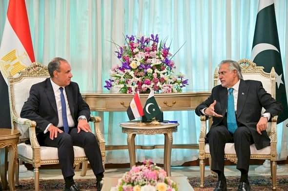وزيرا خارجية مصر وباكستان يبحثان سبل تعزيز العلاقات الثنائية والتطورات الإقليمية