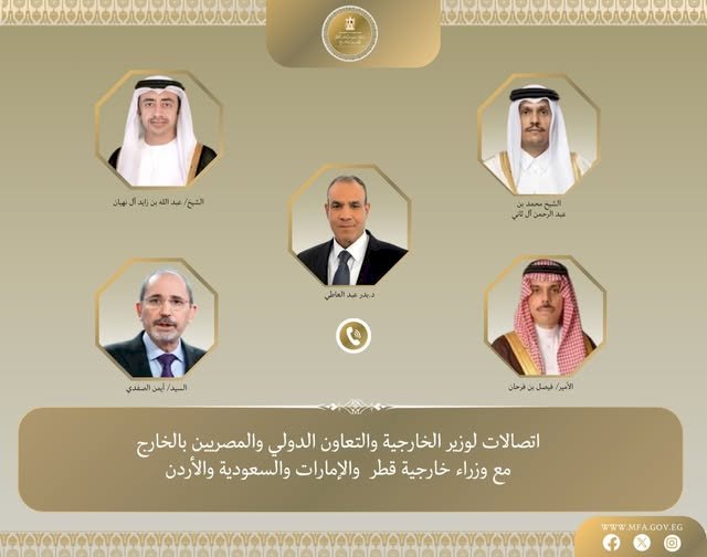 اتصالات هاتفية بين وزير الخارجية ونظرائه في قطر والإمارات والسعودية والأردن لتنسيق جهود خفض التصعيد