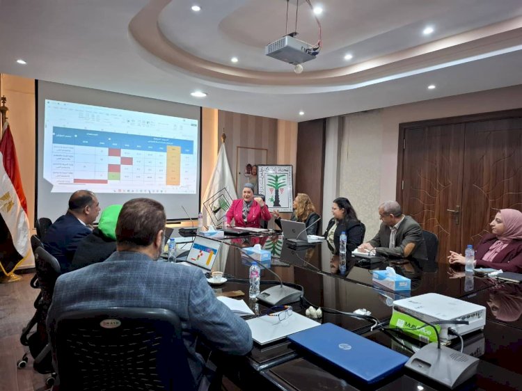 القومي للطفولة ومركز معلومات الوزراء يبحثان تطوير استراتيجية تنمية الطفولة المبكرة وخطة تنفيذها