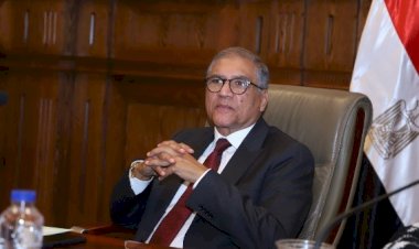 وكيل خارجية الشيوخ يدعو لدراسة إنشاء قوة عربية لمواجهة التحديات