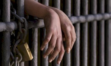 السجن 3 سنوات لمتهمين بالشروع فى قتل شخص بمركز البلينا فى سوهاج