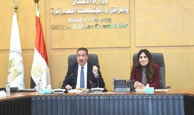 وزيرة الإسكان تلتقي محافظ بورسعيد لبحث الموقف التنفيذي للمشروعات وتعزيز التعاون