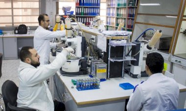 الزراعة: تحليل 111 ألف عينة غذائية خلال الربع الأول من 2026