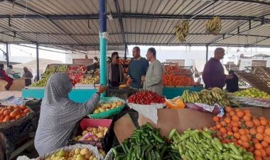 سعر الخضار والفاكهة اليوم الجمعة في الأسواق