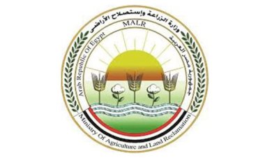 "الزراعة": تحصين 2.1 مليون رأس ماشية ضمن الحملة القومية ضد الجلد العقدي وجدري الأغنام