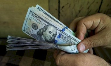 أسعار الدولار في مصر اليوم السبت