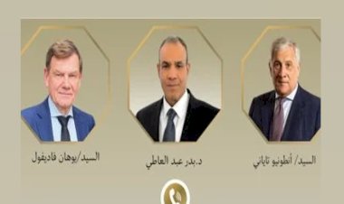 وزير الخارجية يبحث مع نظيريه الألمانى والإيطالى جهود خفض التصعيد بالمنطقة
