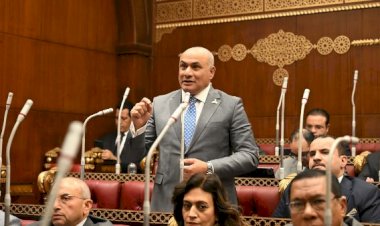 عضو بالشيوخ: توجيهات الرئيس السيسي تعزز كفاءة الأسواق وتحقق التوازن بين الإنتاج والاستهلاك