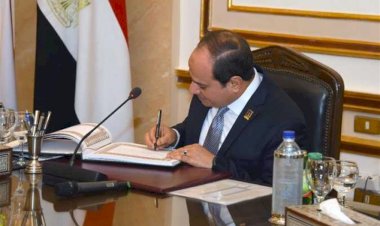 قرار جمهوري بتعيين السيد رمزي عز الدين مستشارا للرئيس للشئون السياسية