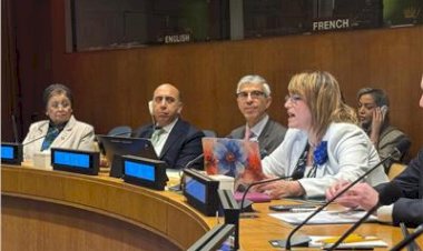 نائب وزير الصحة تستعرض التجربة المصرية في السكان والصحة الإنجابية بنيويورك