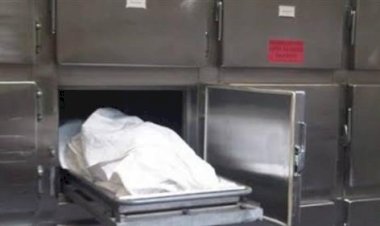 مقتل مسن وإخفاء جثمانه أسفل سريره لمدة شهر لسرقته بالإسكندرية