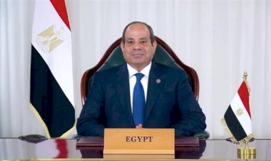 الرئيس عبد الفتاح السيسي يستقبل سكرتير عام منظمة الطيران المدني الدولي ايكاو