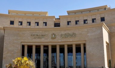 البنك المركزى: حجم التمويل متناهى الصغر تخطى 100 مليار جنيه