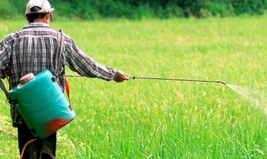 "الزراعة" تحذر من تداول كتب مزيفة منسوبة للجنة مبيدات الآفات الزراعية وتدعو للاعتماد على المصادر الرسمية