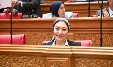 تحرك برلماني عاجل بسبب تعطل سيستم التأمينات وتأجيل الخدمات